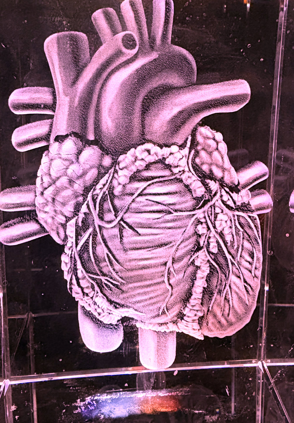 The animated glass hologram heart of the robot