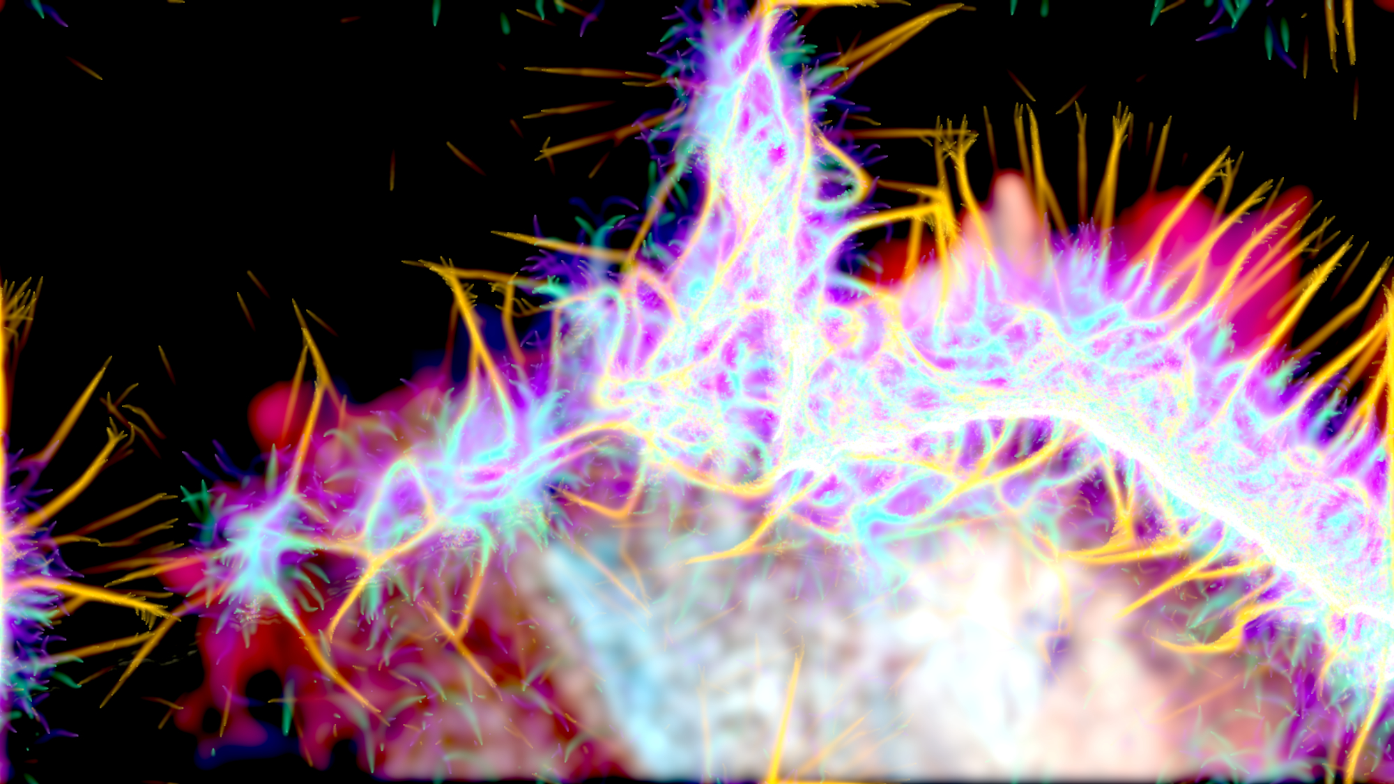 Aggressive red Slime Mold simulation